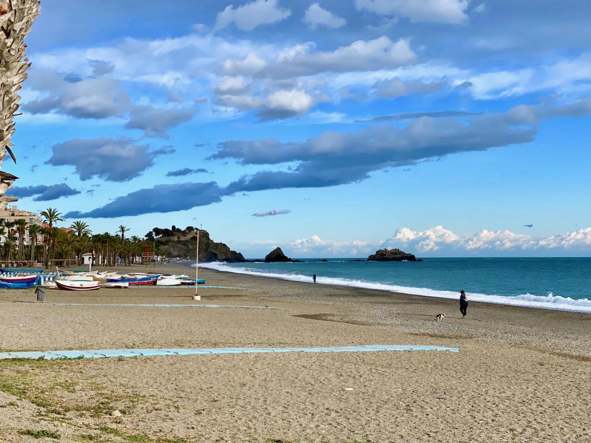Fantástico Estudio En 1a Línea De Playa Con Piscina *