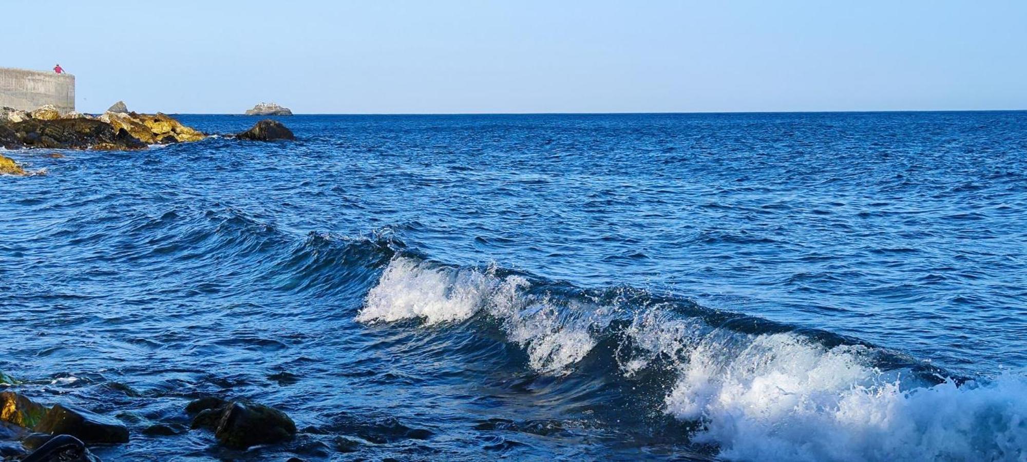 Fantástico Estudio En 1a Línea De Playa Con Piscina Appartamento