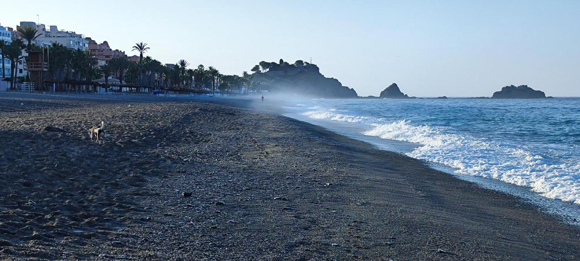 Fantástico Estudio En 1a Línea De Playa Con Piscina *