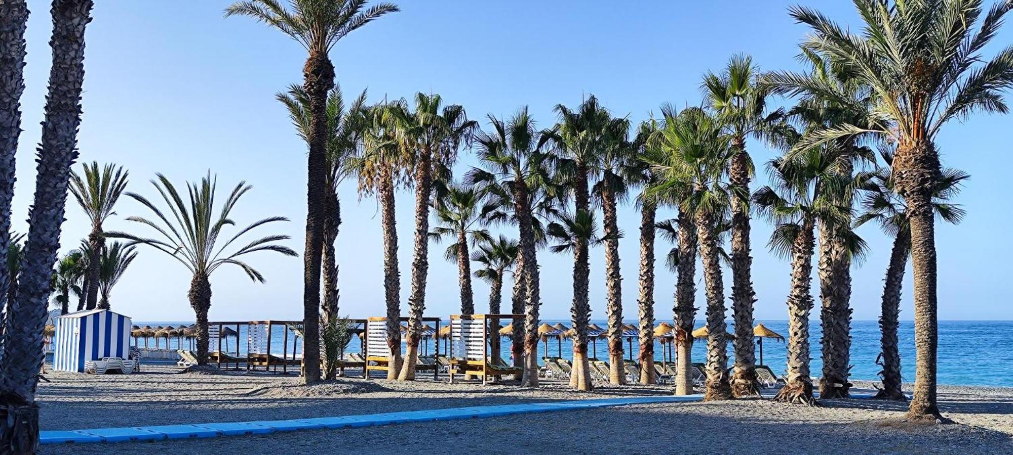 Apartamento Fantástico Estudio En 1a Línea De Playa Con Piscina